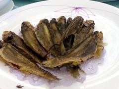 -九重天大饭店(北大街店)