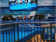 -多彩贵州城极地海洋世界