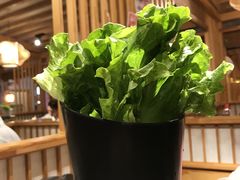 生菜-九田家黑牛烤肉料理(石路天虹店)