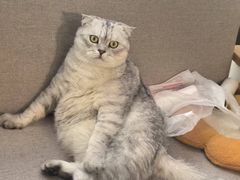-郑在DIY·潮玩银饰绘画手作(中央大道旗舰店)