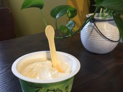 -狐狸家·酸奶酪专门店(平江路店)