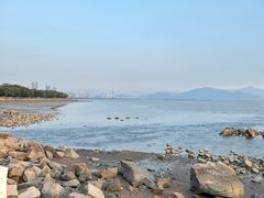 -深圳湾公园(南山区)