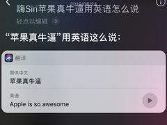 -Apple零售店(成都太古里店)