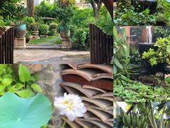 -园林美食城·本土农家菜(杨和镇店)