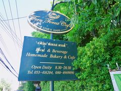-Fern Forest Cafe