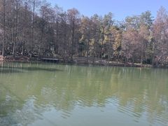 -东湖落雁景区