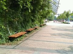 -南京邮电大学(仙林校区)