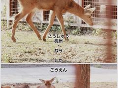 -良渚古城遗址公园