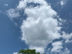 -木兰云雾山