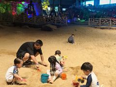 -南京银杏湖乐园