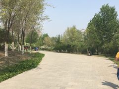 -群力丁香公园