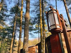 -洛阳白云山景区