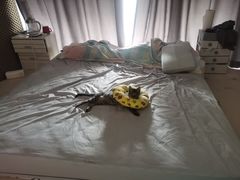 -美联众合动物医院(·中兽医·疑难杂症·严家桥分院)