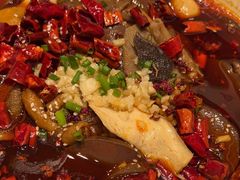 -香丰阁·烤鸭·川湘菜(清河店)