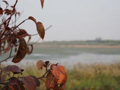 -天津东丽湖风景区