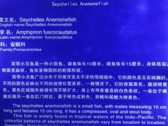 -福州罗源湾海洋世界旅游区