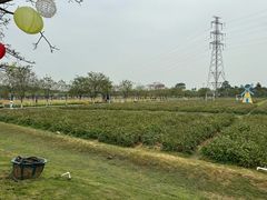 -盈香心动乐园