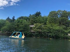 -井之头恩赐公园