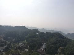 -大金鹰园