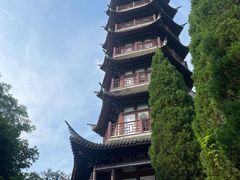-黄贤森林公园