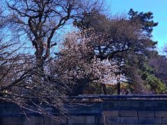 -颐和园