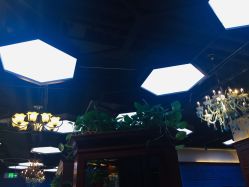 -东晨宝格丽品质造型