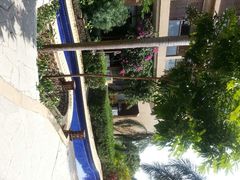 android_upload_pic-三亚亚龙湾红树林度假酒店