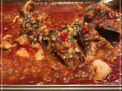 -鱼酷活鱼烤鱼(南京水游城店)