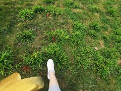 -露天矿生态公园