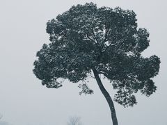-江阴敔山湖公园