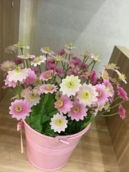 -变美丽半永久纹眉连锁·机器野生眉·洗眉