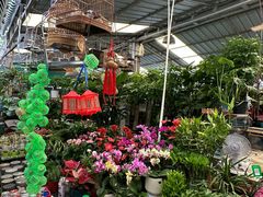 -曲阳花鸟市场(曲阳路店)
