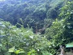 -海口火山口国家地质公园