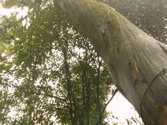 -狼山风景名胜区