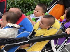 -全优加早教托育园(广百新一城店)