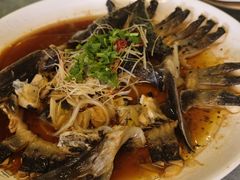 -京北渔家傲