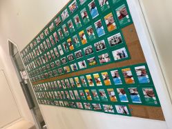 -青苗儿童口腔(长楹天街购物中心)