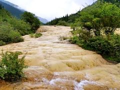 -黄龙山原始森林景区