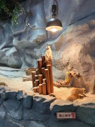 -Zoolung Zoolung动物主题公园(海信广场店)