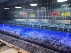 -海韵之星邮轮水会(明发商业广场店)