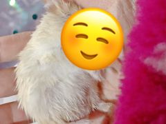 -爱侣宠医·鹦鹉专科·小型哺乳类·异宠专科(灵石路店)