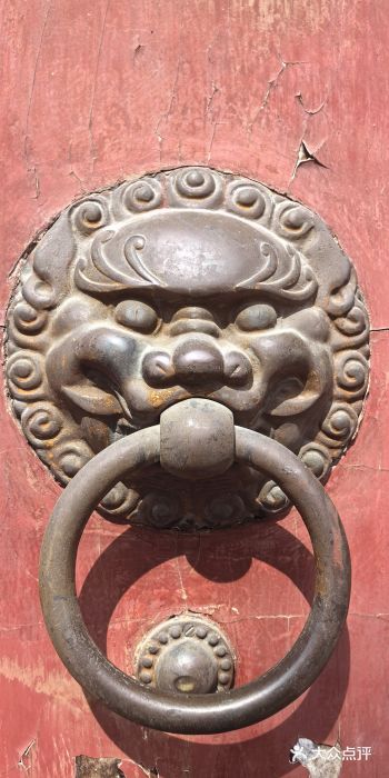 龙华素斋(龙华路店)图片