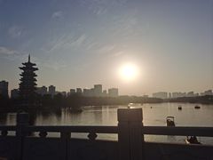 -洋湖国家湿地公园