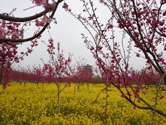 -古柏渡飞黄旅游区