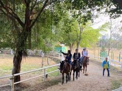 -盈香心动乐园