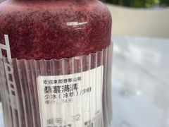 -野萃山·潮汕厚果汁(十亩地店)