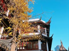 -上海城隍庙