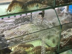 -凯华海鲜火锅·传承三十六年