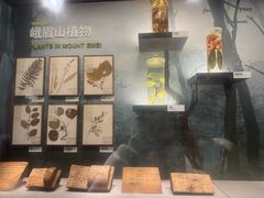 -四川大学博物馆