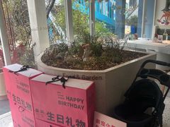 -春树下·树屋花房西餐厅(罍街AS1980店)